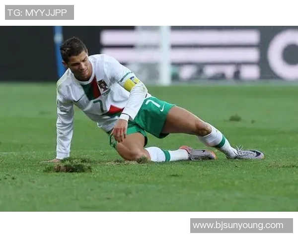 全球知名足球明星的精彩人生与职业成就简介