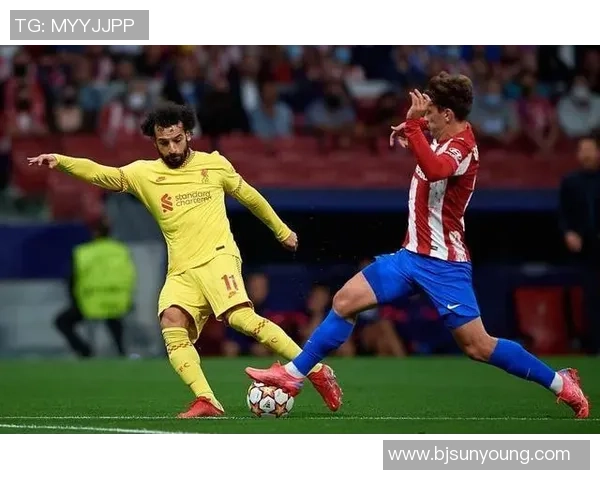 北京乒乓球队战术变革引发热议新策略助力竞技水平提升