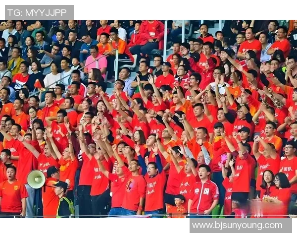 足球圈点赞背后的故事与影响解析，探讨球迷文化与运动精神的交融